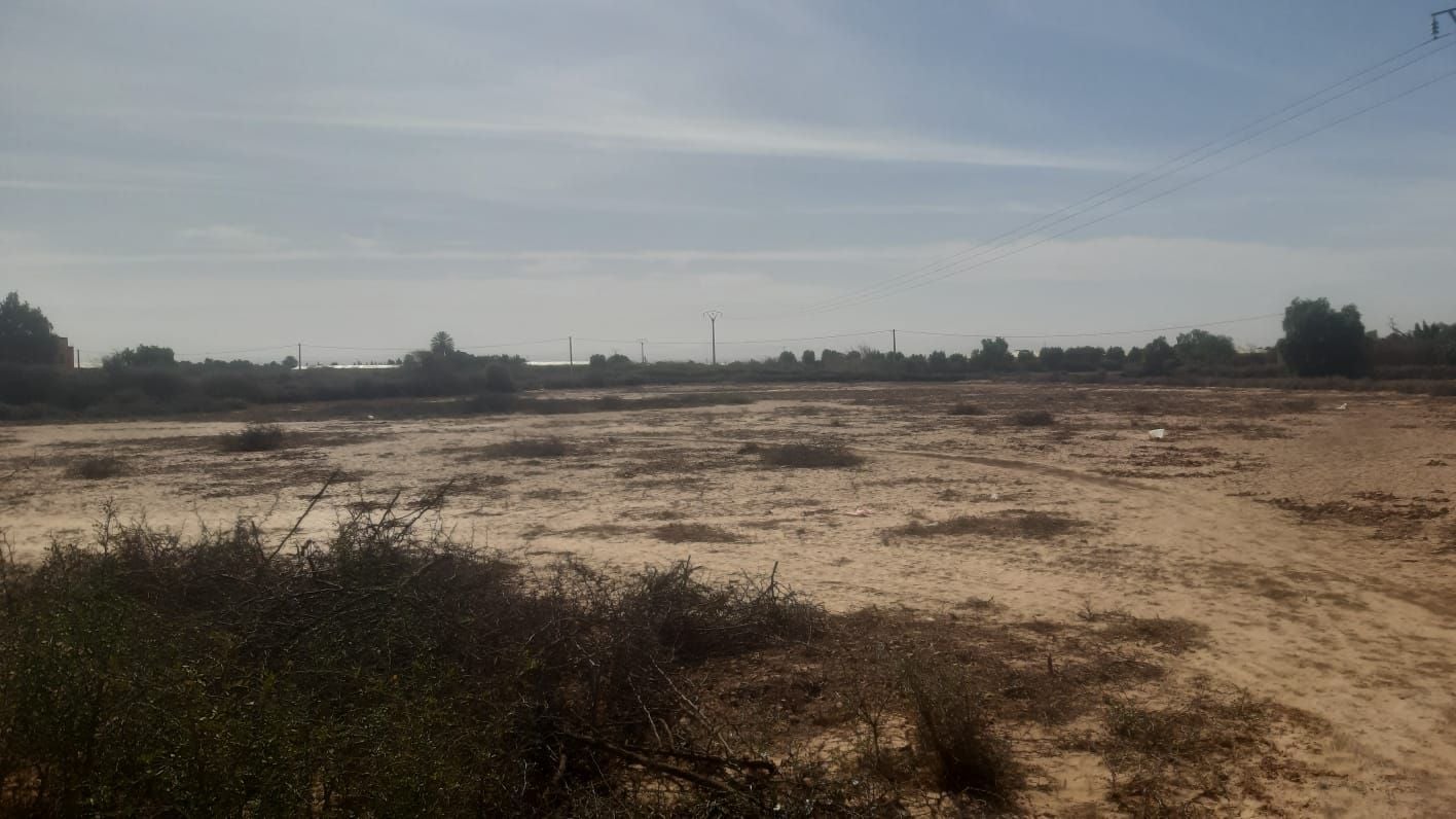 Terrain — Agadir — 5